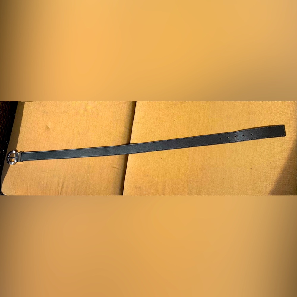 True Religion Belt
